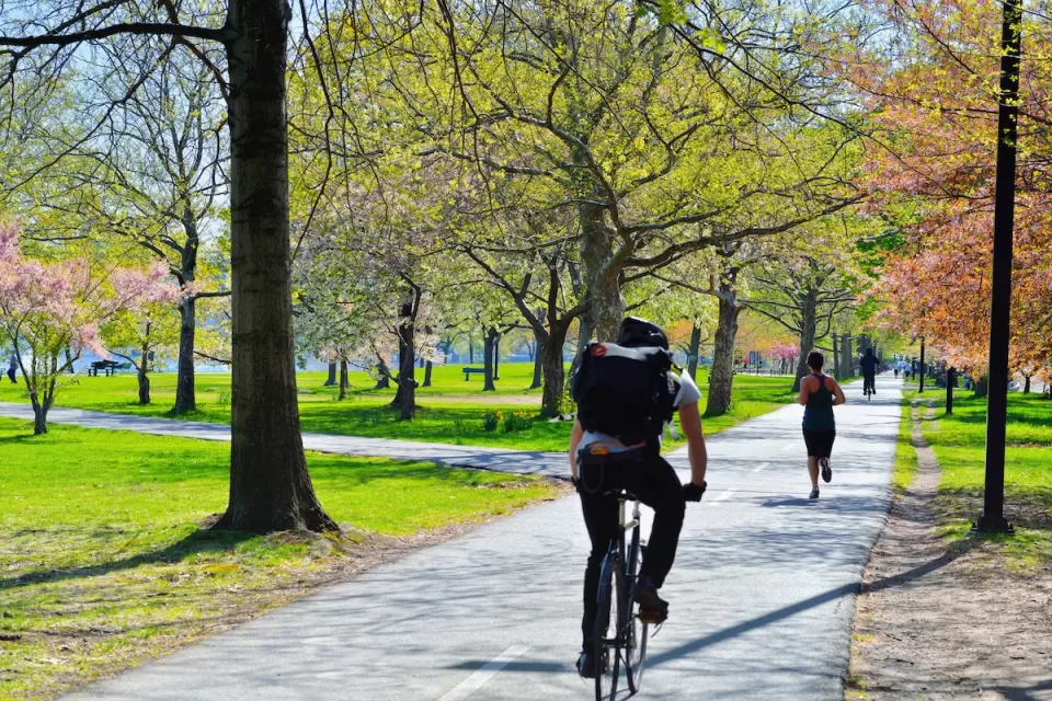 Cyclist and runner on paved bike and pedestrian path in a park in Boston with fall colors on trees.